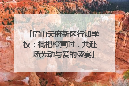 眉山天府新区行知学校：枇杷橙黄时，共赴一场劳动与爱的盛宴