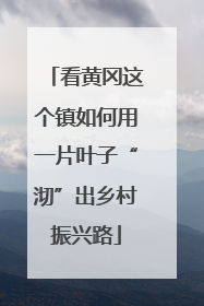 看黄冈这个镇如何用一片叶子“沏”出乡村振兴路