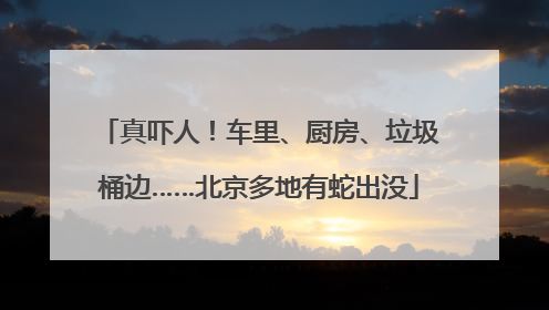 真吓人！车里、厨房、垃圾桶边……北京多地有蛇出没