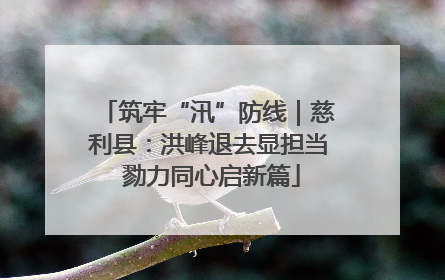 筑牢“汛”防线｜慈利县：洪峰退去显担当 勠力同心启新篇