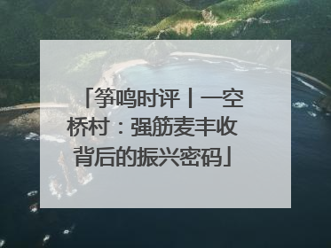 筝鸣时评丨一空桥村：强筋麦丰收背后的振兴密码