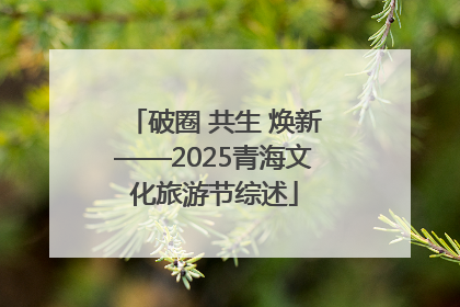 破圈 共生 焕新——2025青海文化旅游节综述