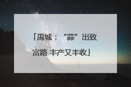 禹城：“蒜”出致富路 丰产又丰收
