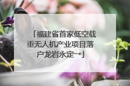 福建省首家低空载重无人机产业项目落户龙岩永定→