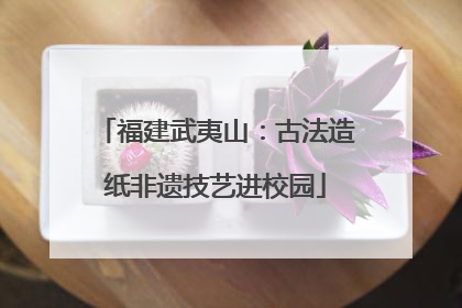 福建武夷山：古法造纸非遗技艺进校园