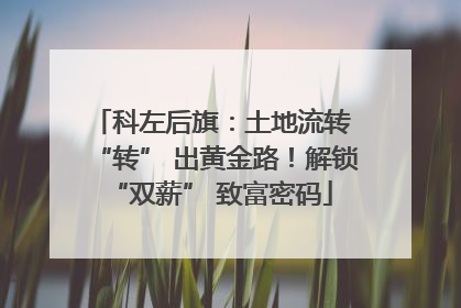 科左后旗：土地流转 “转” 出黄金路！解锁 “双薪” 致富密码