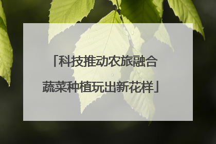 科技推动农旅融合 蔬菜种植玩出新花样