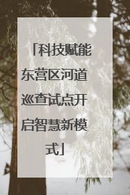 科技赋能东营区河道巡查试点开启智慧新模式