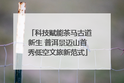 科技赋能茶马古道新生 普洱景迈山首秀低空文旅新范式