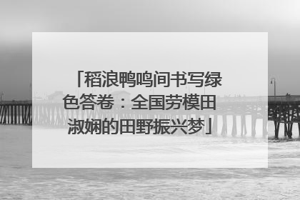 稻浪鸭鸣间书写绿色答卷：全国劳模田淑娴的田野振兴梦