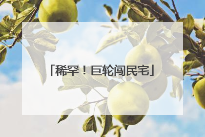稀罕！巨轮闯民宅