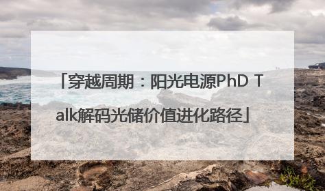 穿越周期：阳光电源PhD Talk解码光储价值进化路径