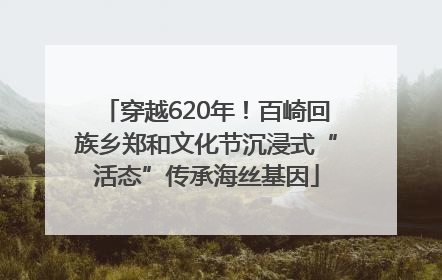 穿越620年！百崎回族乡郑和文化节沉浸式“活态”传承海丝基因