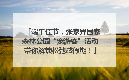 端午佳节，张家界国家森林公园“宠游客”活动带你解锁松弛感假期！