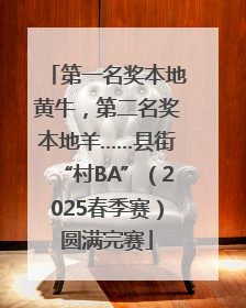 第一名奖本地黄牛，第二名奖本地羊……县街“村BA”（2025春季赛）圆满完赛