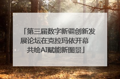 第三届数字新疆创新发展论坛在克拉玛依开幕 共绘AI赋能新图景