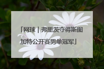 网球｜弗里茨夺得斯图加特公开赛男单冠军