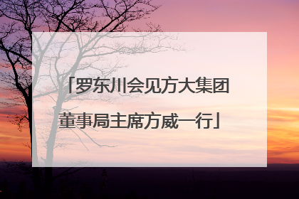 罗东川会见方大集团董事局主席方威一行