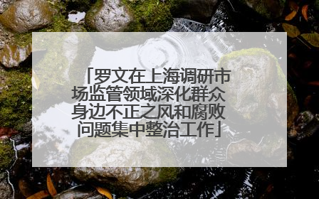 罗文在上海调研市场监管领域深化群众身边不正之风和腐败问题集中整治工作