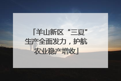 羊山新区“三夏”生产全面发力，护航农业稳产增收