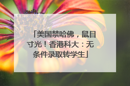 美国禁哈佛，鼠目寸光！香港科大：无条件录取转学生