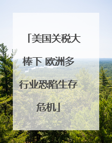 美国关税大棒下 欧洲多行业恐陷生存危机