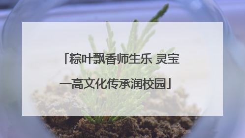 粽叶飘香师生乐 灵宝一高文化传承润校园