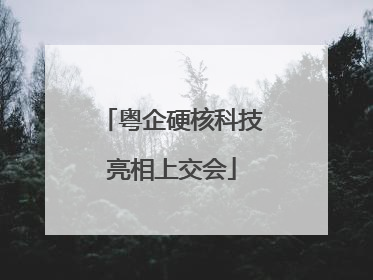 粤企硬核科技亮相上交会
