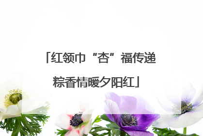 红领巾“杏”福传递 粽香情暖夕阳红
