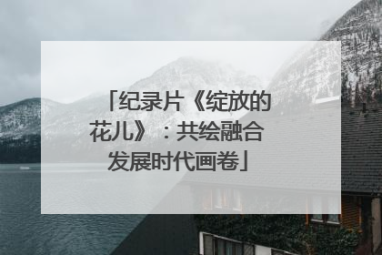纪录片《绽放的花儿》：共绘融合发展时代画卷