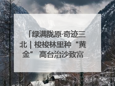 绿满陇原·奇迹三北｜梭梭林里种“黄金” 高台治沙致富很“从容”