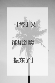 终于又能见到樊振东了
