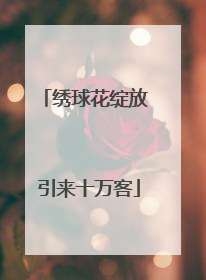 绣球花绽放 引来十万客
