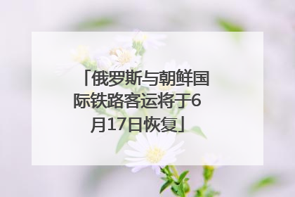 俄罗斯与朝鲜国际铁路客运将于6月17日恢复