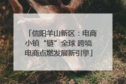 信阳羊山新区：电商小镇“链”全球 跨境电商点燃发展新引擎