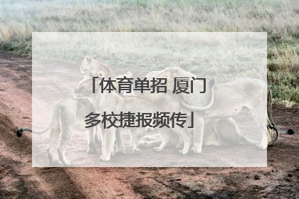 体育单招 厦门多校捷报频传