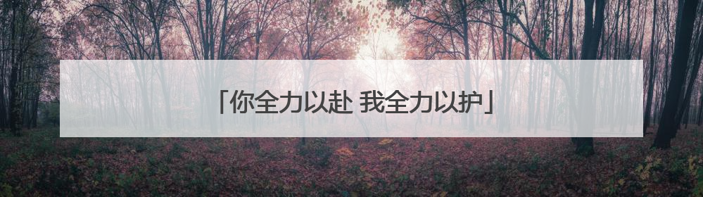 你全力以赴 我全力以护