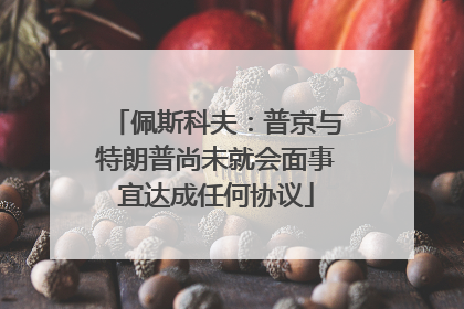 佩斯科夫：普京与特朗普尚未就会面事宜达成任何协议
