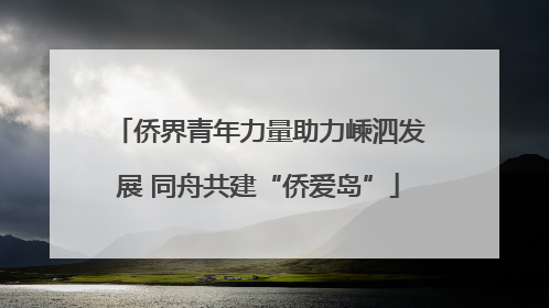 侨界青年力量助力嵊泗发展 同舟共建“侨爱岛”