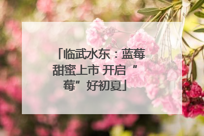 临武水东：蓝莓甜蜜上市 开启“莓”好初夏