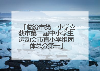 临汾市第一小学喜获市第二届中小学生运动会市直小学组团体总分第一