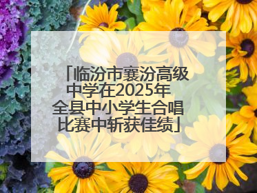 临汾市襄汾高级中学在2025年全县中小学生合唱比赛中斩获佳绩