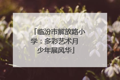 临汾市解放路小学：多彩艺术月 少年展风华