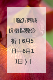 临沂商城价格指数分析（6月5日—6月11日）