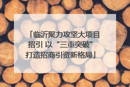 临沂聚力攻坚大项目招引 以“三重突破”打造招商引资新格局