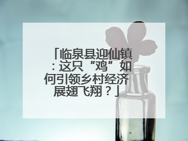 临泉县迎仙镇：这只“鸡”如何引领乡村经济展翅飞翔？
