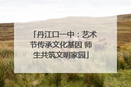 丹江口一中：艺术节传承文化基因 师生共筑文明家园