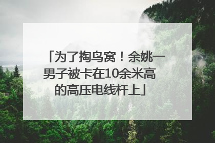 为了掏鸟窝！余姚一男子被卡在10余米高的高压电线杆上