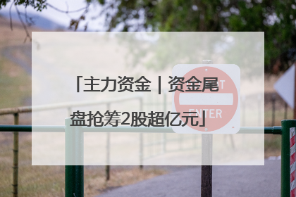 主力资金｜资金尾盘抢筹2股超亿元