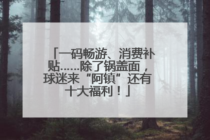 一码畅游、消费补贴……除了锅盖面，球迷来“阿镇”还有十大福利！